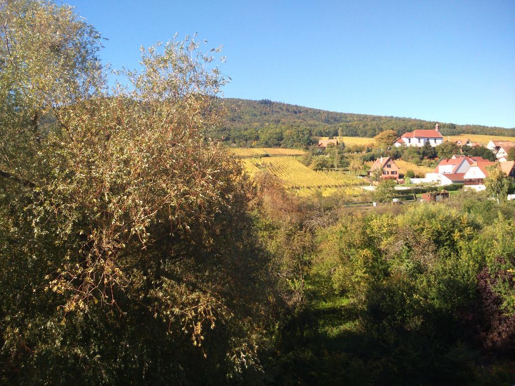 Hotel Restaurant Verger Des Chateaux, Route Des Vins Haut-Koenigsbourg Dieffenthal Εξωτερικό φωτογραφία